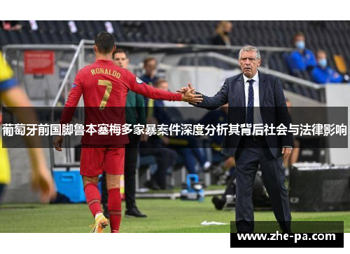 葡萄牙前国脚鲁本塞梅多家暴案件深度分析其背后社会与法律影响