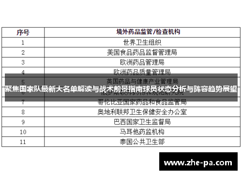 聚焦国家队最新大名单解读与战术前景指南球员状态分析与阵容趋势展望 聚焦国家队最新大名单解读与战术前景指南球员状态分析与阵容趋势展望