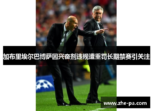 加布里埃尔巴博萨因兴奋剂违规遭重罚长期禁赛引关注